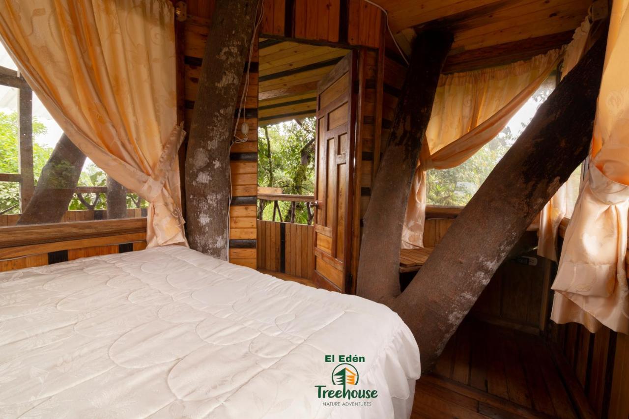 Villa Eden Treehouse Mindo Exterior foto