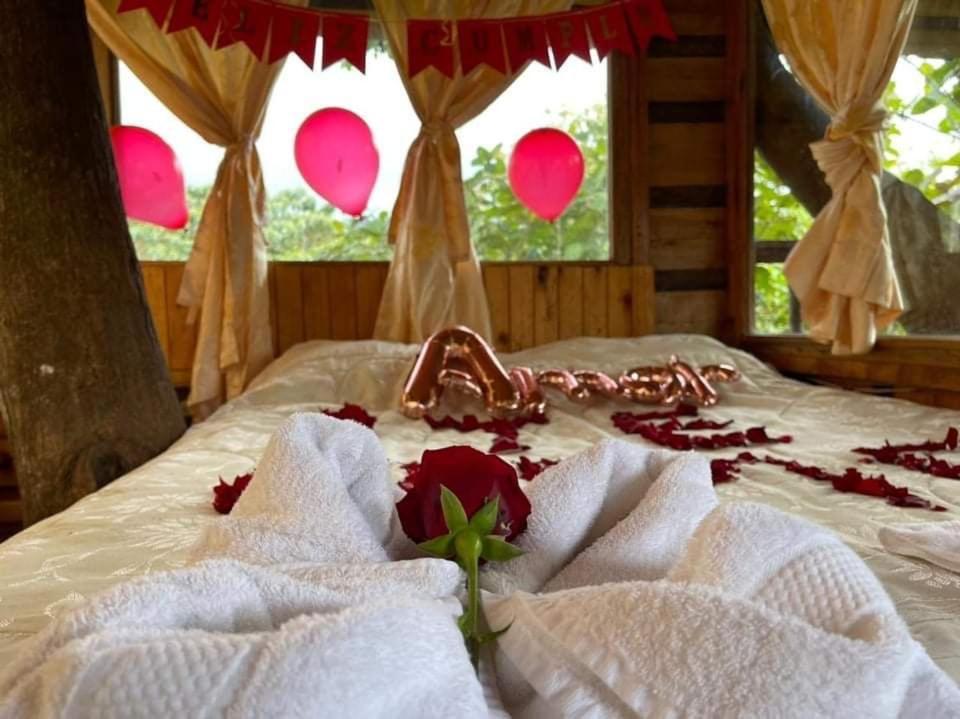 Villa Eden Treehouse Mindo Exterior foto