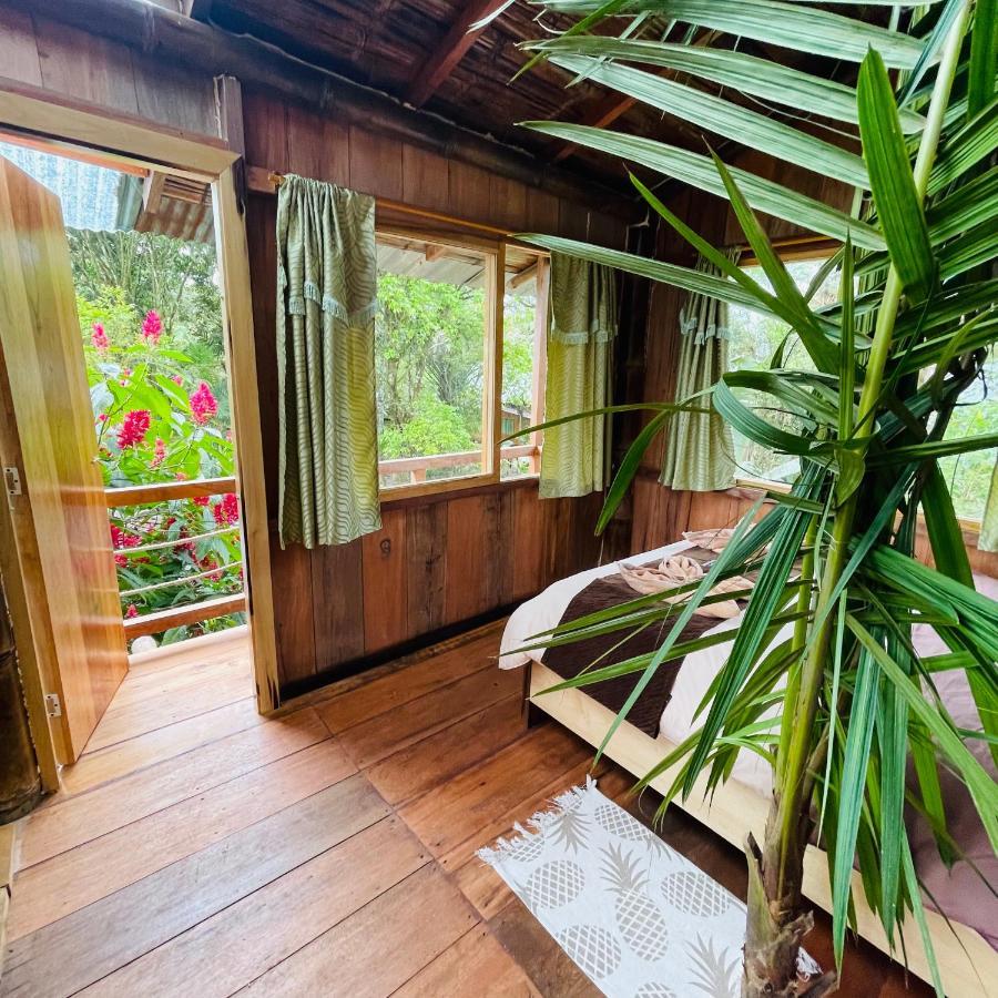 Villa Eden Treehouse Mindo Exterior foto